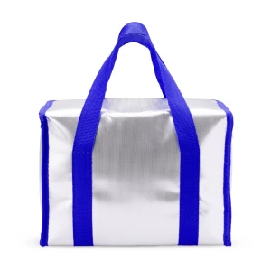 Bolsa Térmica 11L